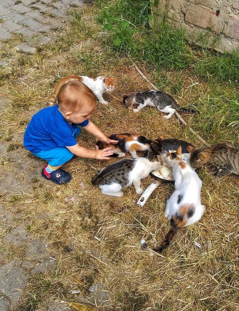 Фотография автора Orhan Bektaş