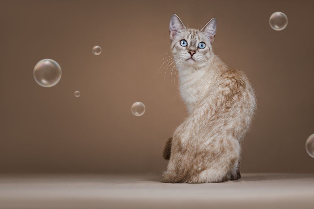 Photograph by Яна Нарбутович