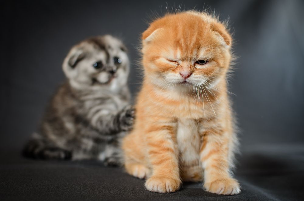 Photograph by Андрей Фоминых