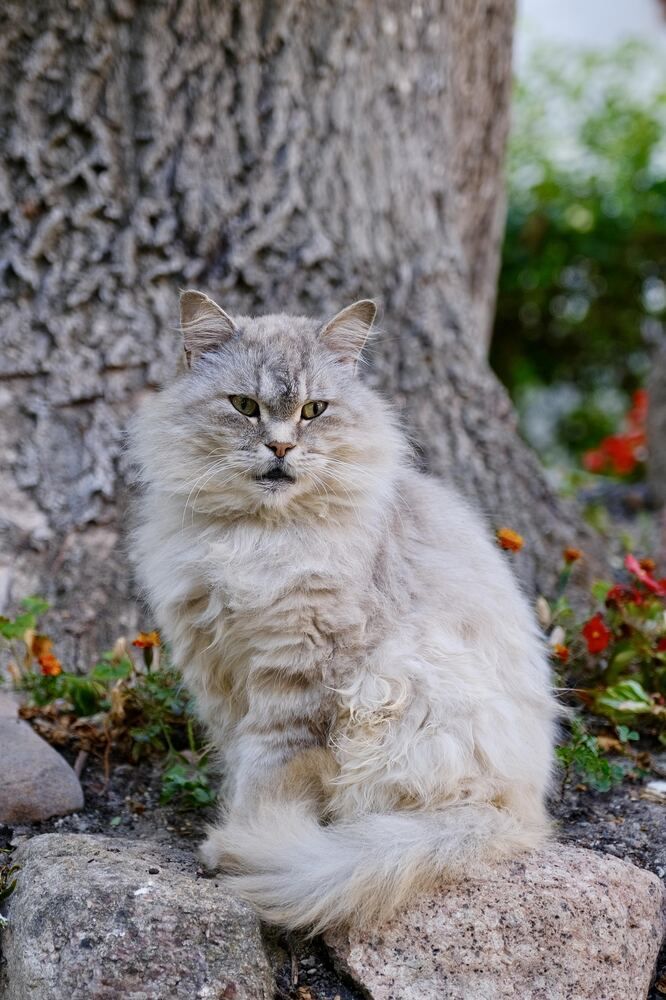 Photograph by Медведев Антон