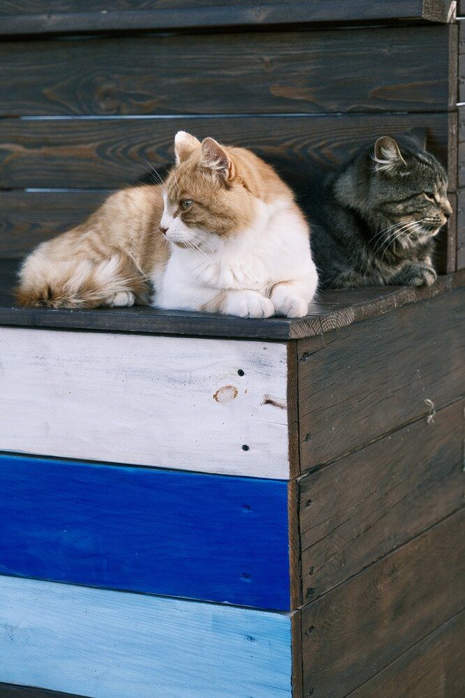 Photograph by Медведев Антон