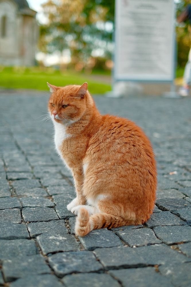 Photograph by Медведев Антон