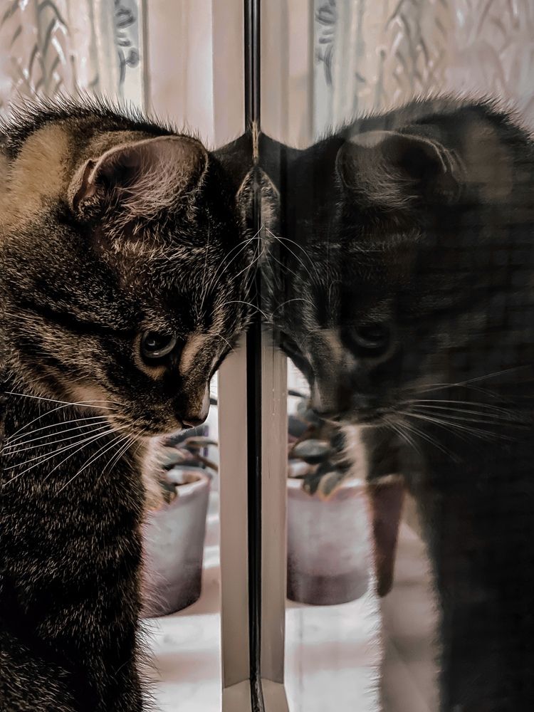 Фотография автора Ольга Каминская