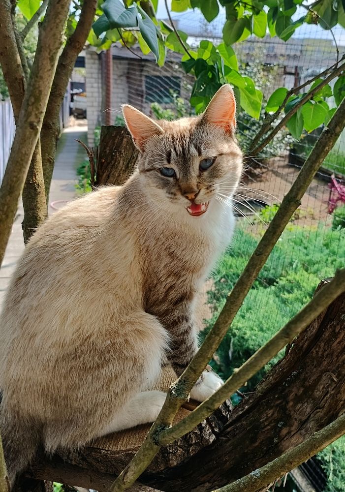 Photograph by Olga Kot