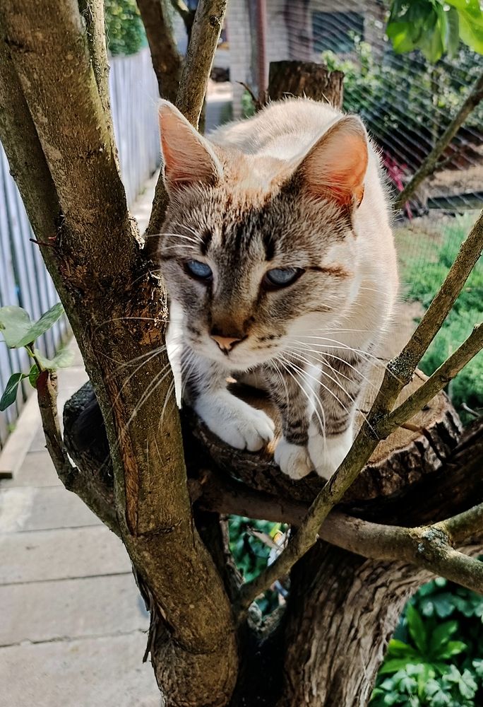 Photograph by Olga Kot