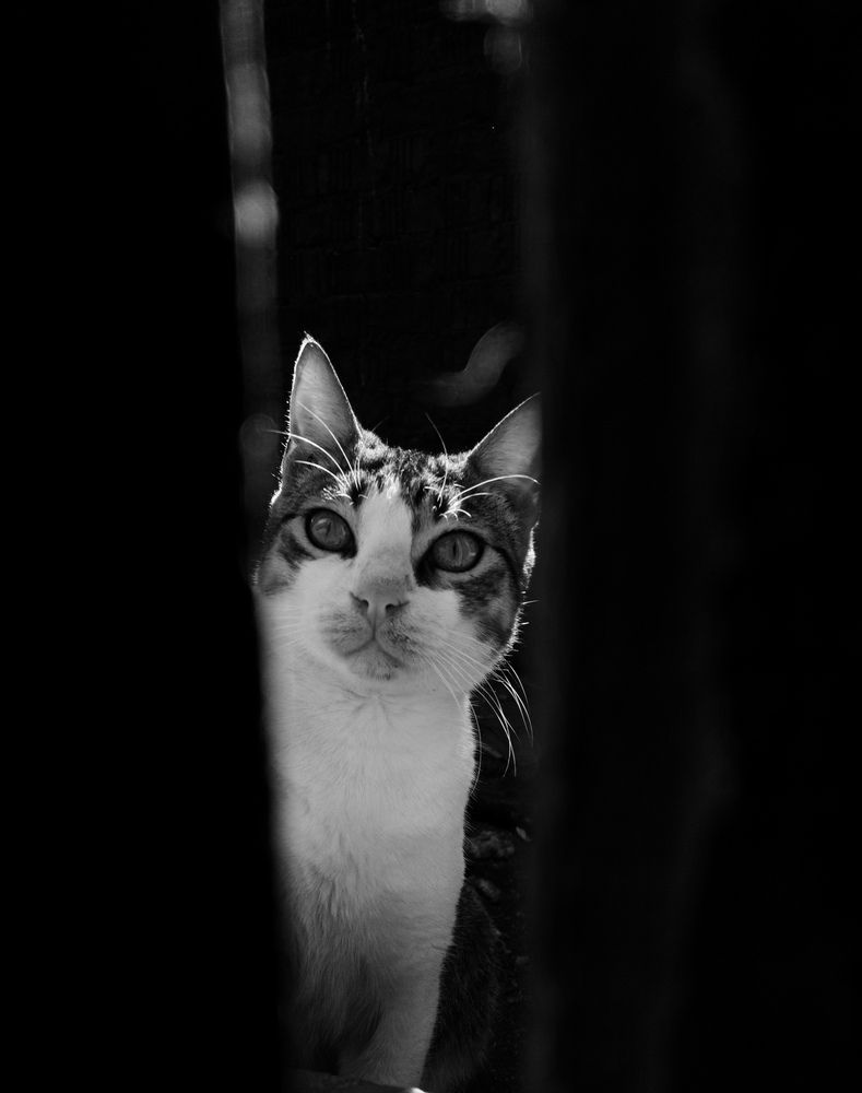 Photograph by على اشرف محمد عبد الجواد شعبان