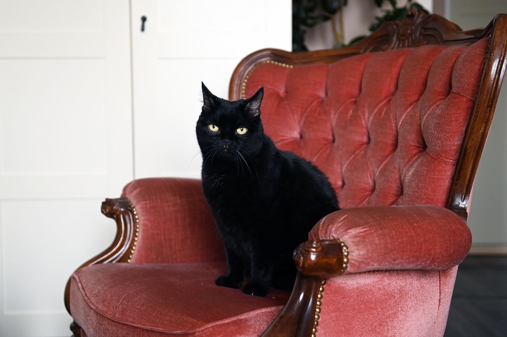 Photograph by Ильин Максим