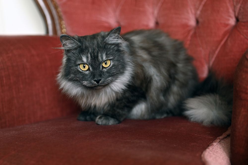 Photograph by Ильин Максим