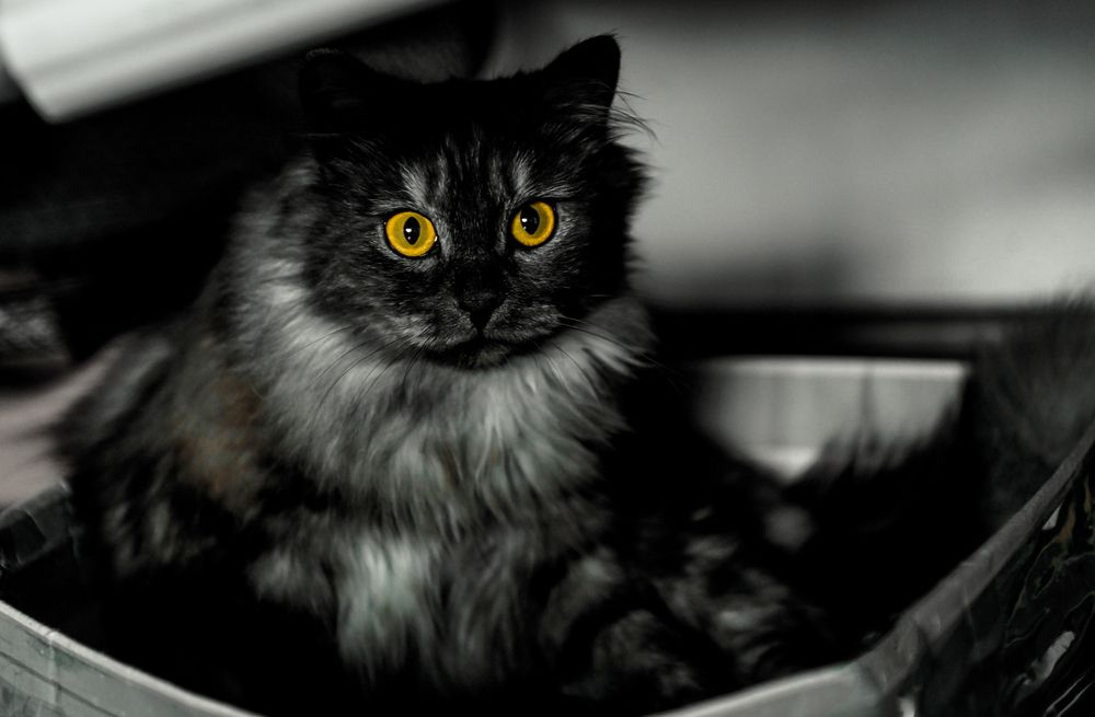 Photograph by Ильин Максим