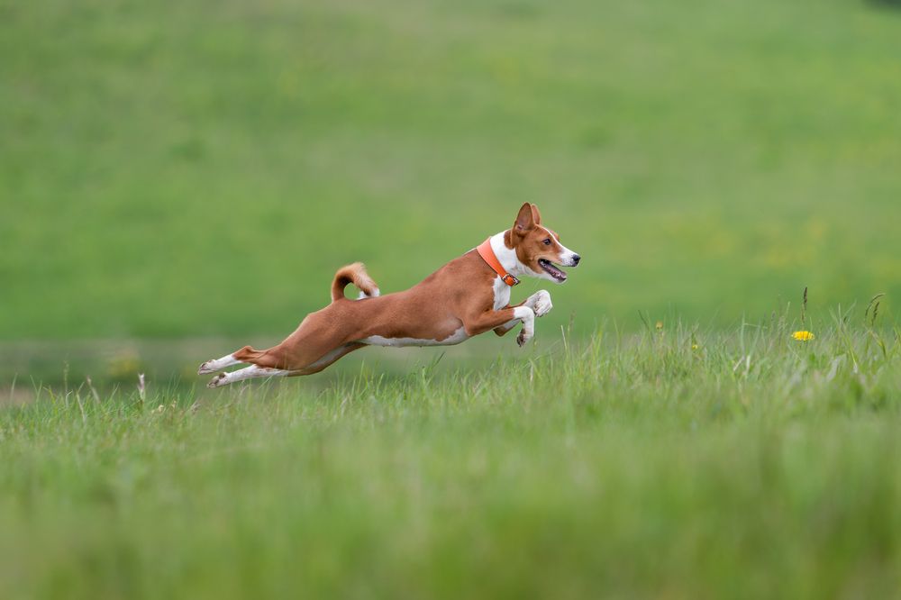 Photograph by Ирина Шестакова