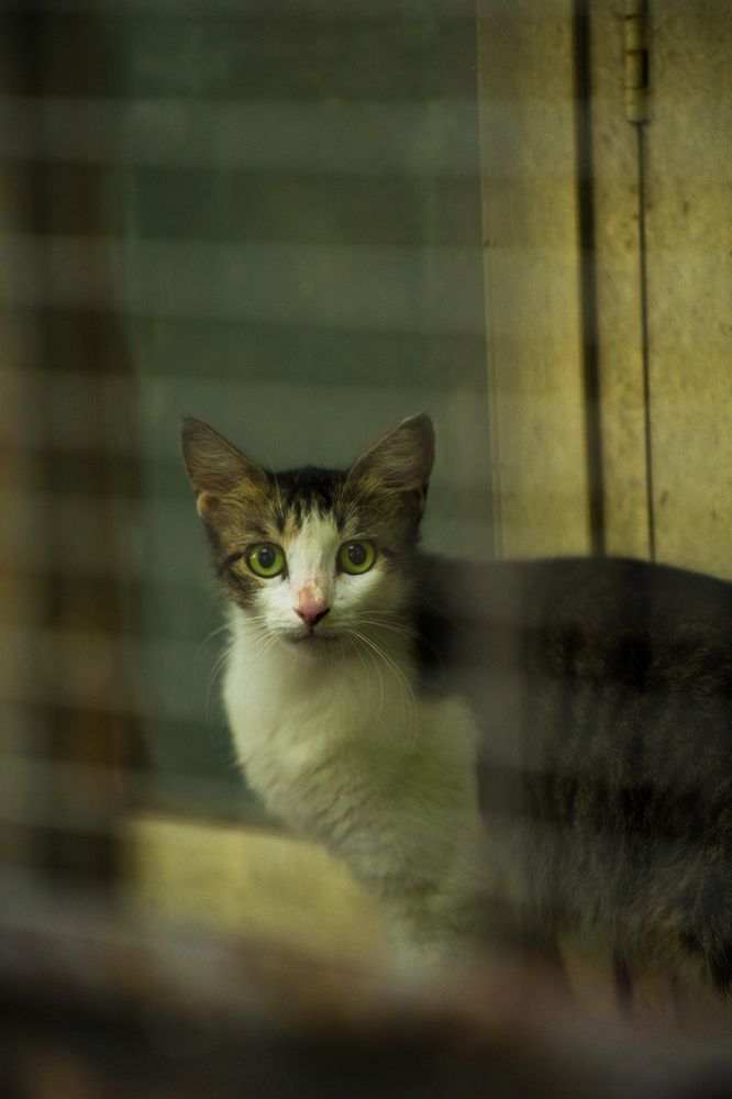 Photograph by Dinesh Sai Bhaskar