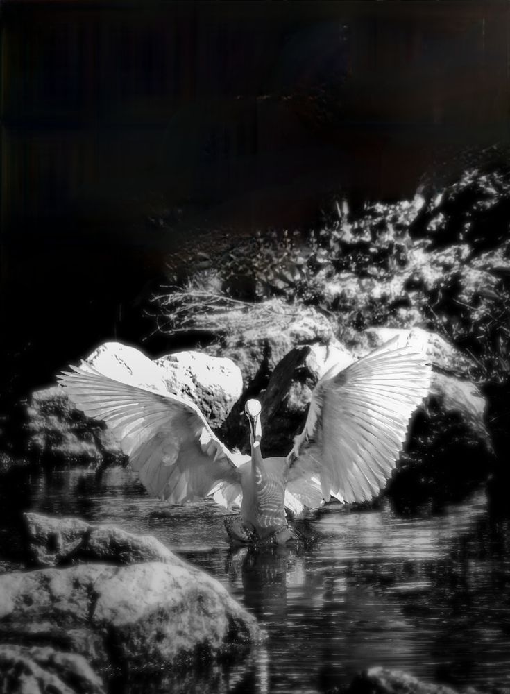 Фотография автора Sotiris Makrygiannis