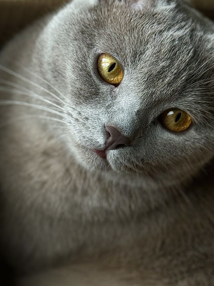 Photograph by Zhanna Kolesnikova