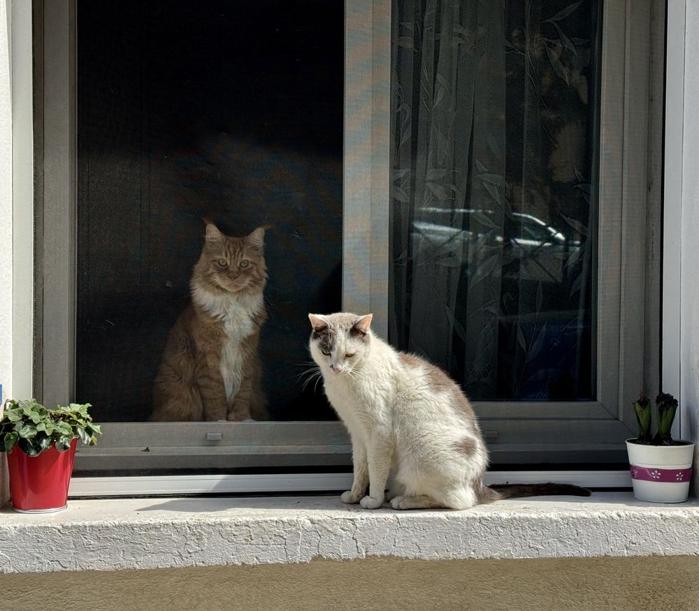 Photograph by Marina Odintsova