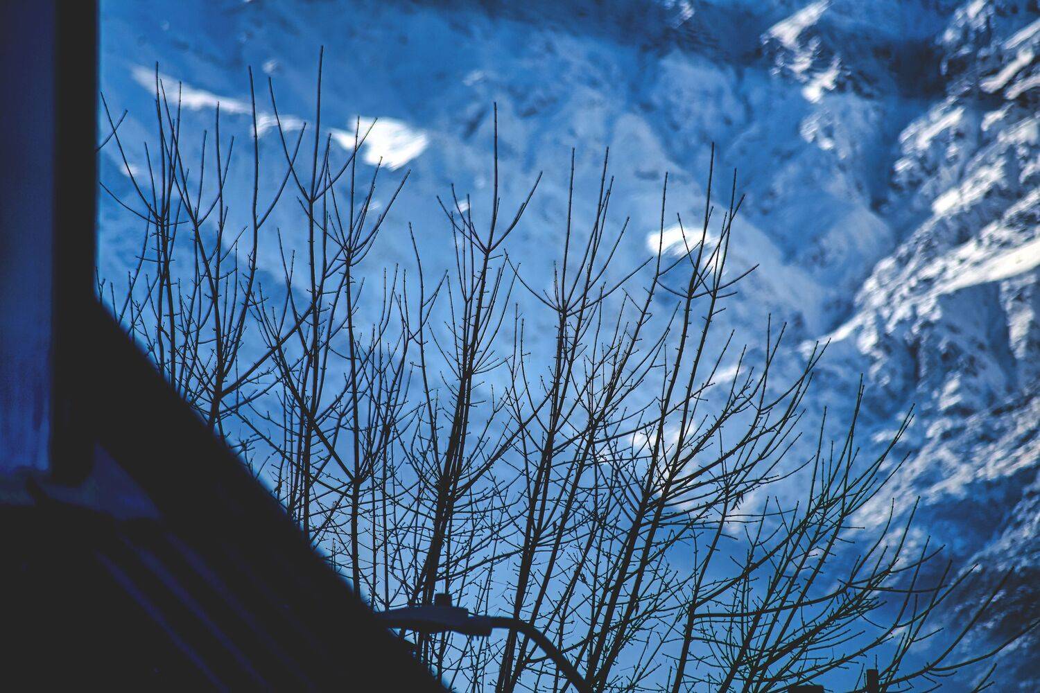 Desde mi ventana
