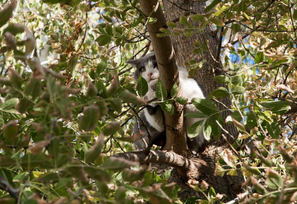 Photograph by Андрей Чуйков