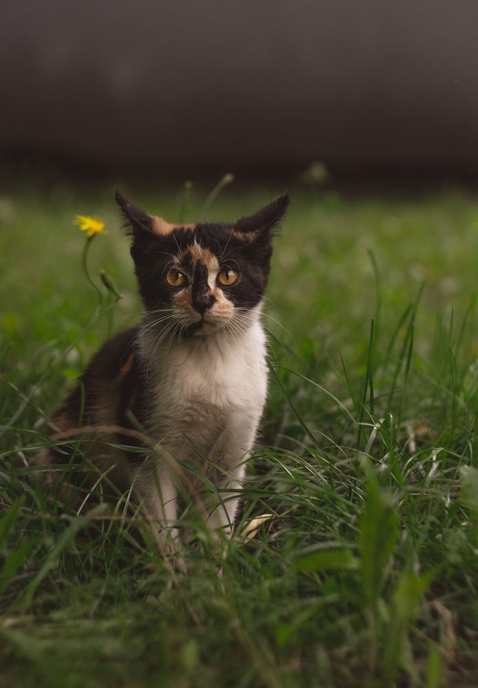 Фотография автора Врубель Андрей