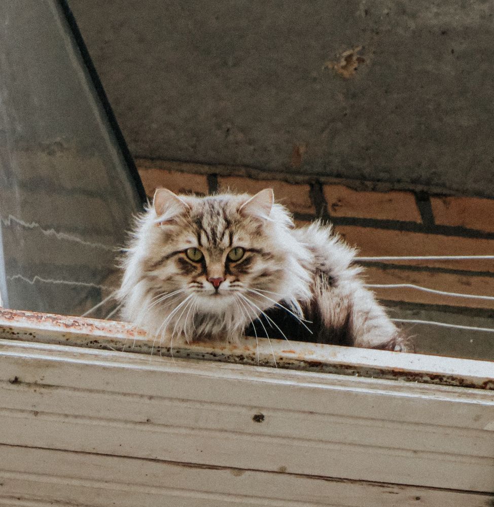 Photograph by Александра