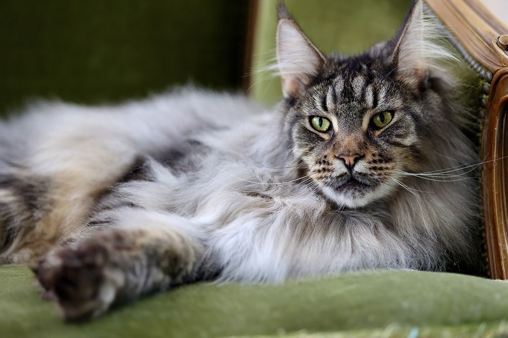 Photograph by Ekaterina Andreassen