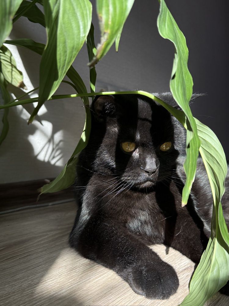 Photograph by Галина Скребей