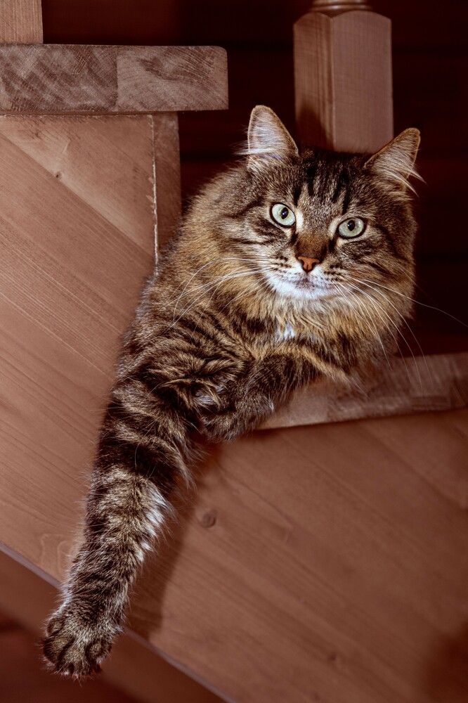 Photograph by Елена Овчинникова