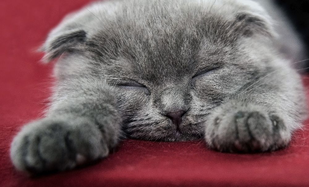 Photograph by Алексей Патлах