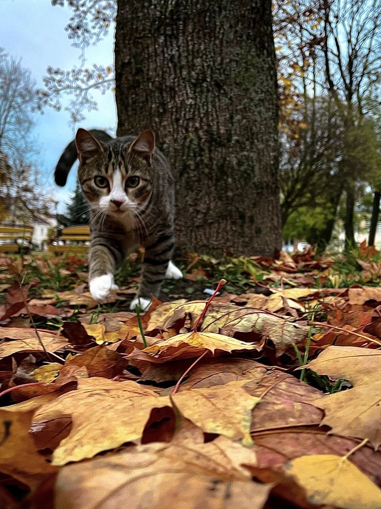 Фотография автора Ольга Каминская