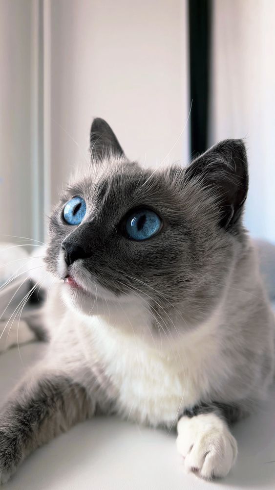 Фотография автора Ирина Павлова