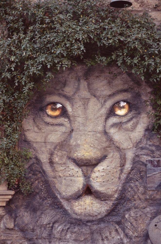 Photograph by Зыкова Мария