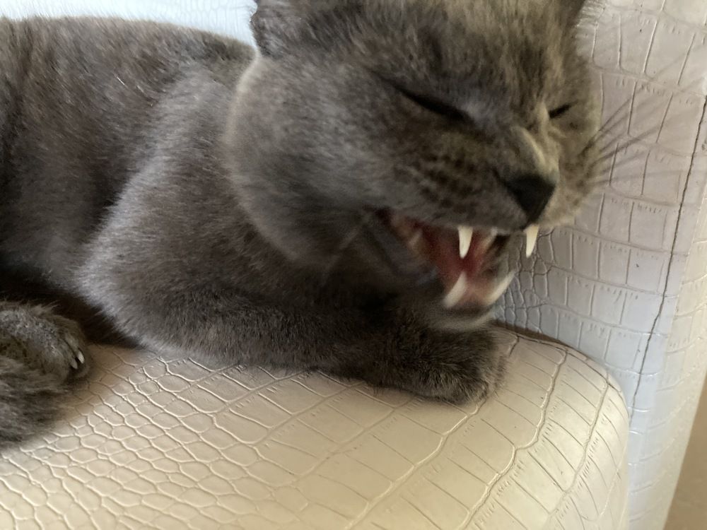 Photograph by Владислав Рубцов