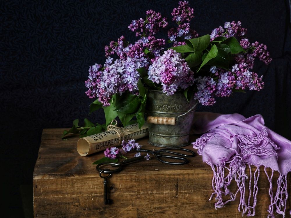 Photograph by Angelica Medvedeva