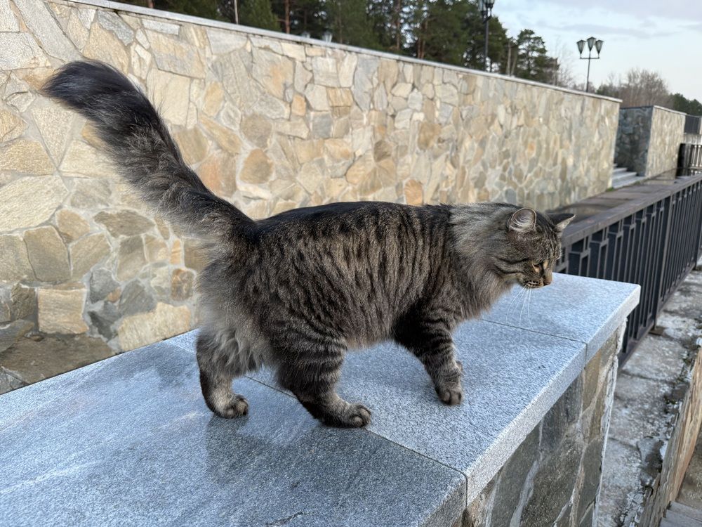 Photograph by Владислав Рубцов