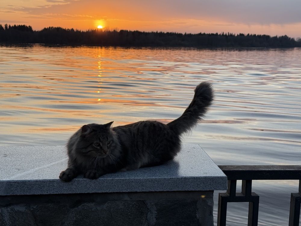 Photograph by Владислав Рубцов