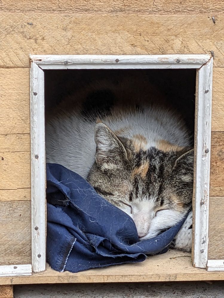 Photograph by Lilit Petrosyan