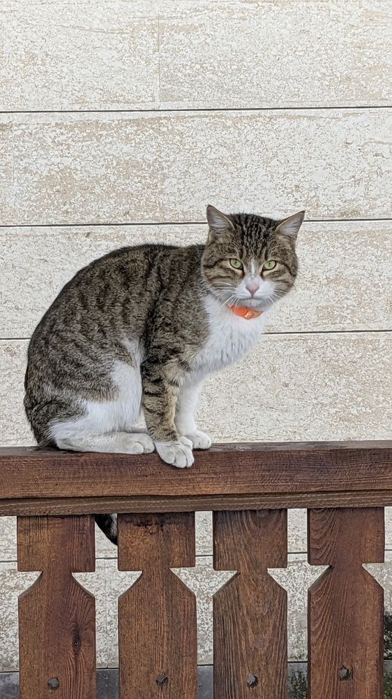 Photograph by Lilit Petrosyan