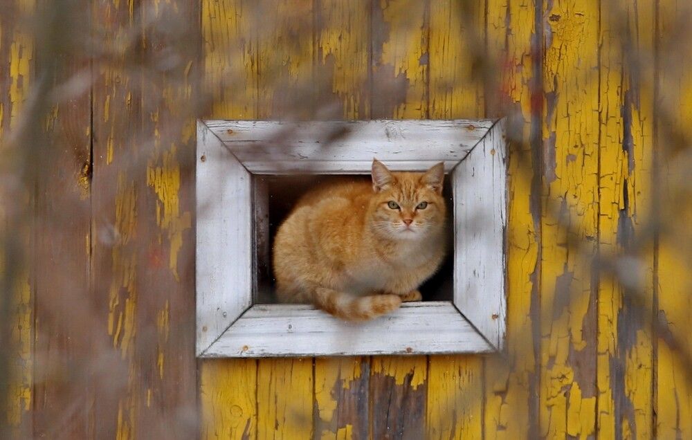 Фотография автора Илья К