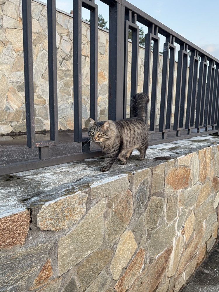 Photograph by Владислав Рубцов