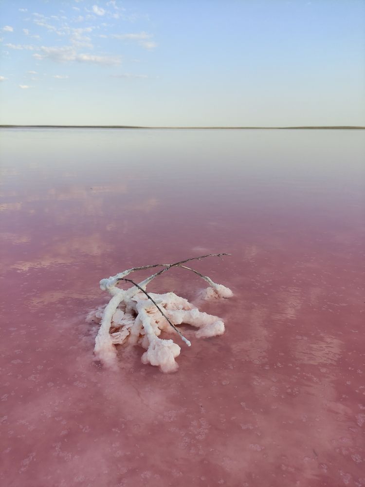 Photograph by Irina Alekseevskaya