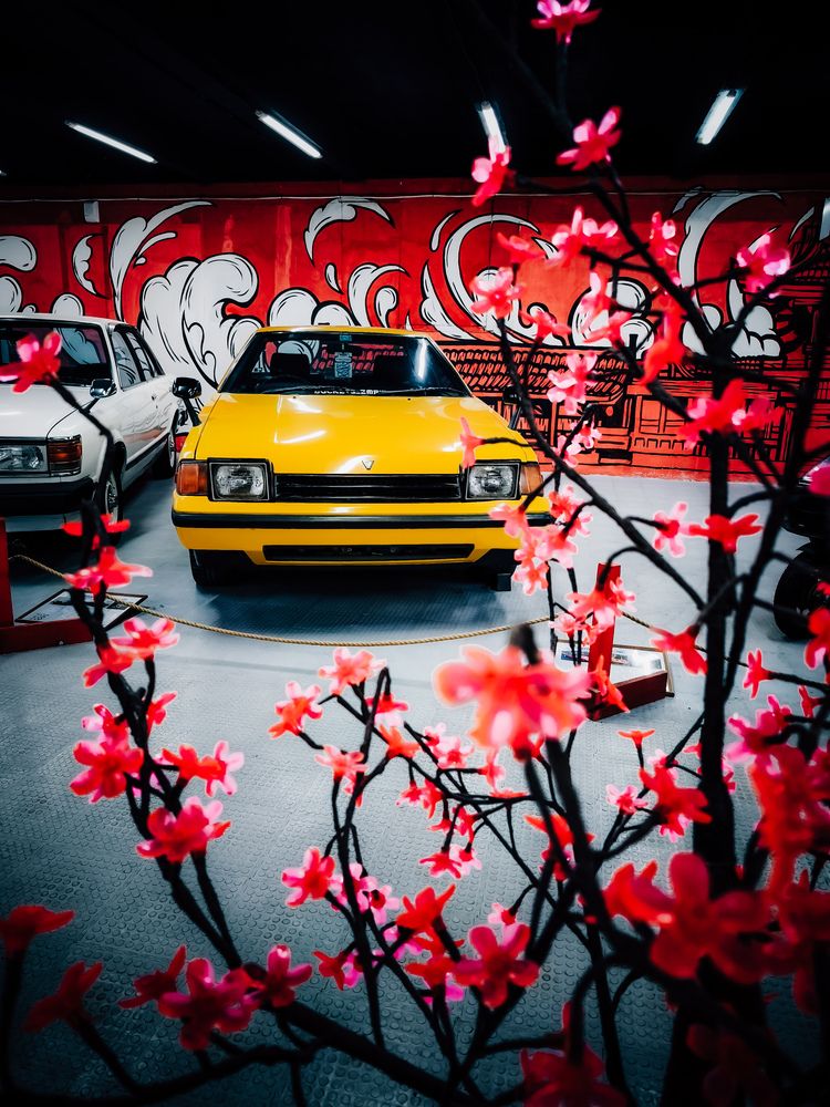 Фотография автора Медведева Елена