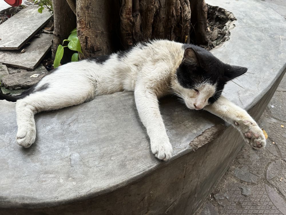 Photograph by Kaushik Dolui