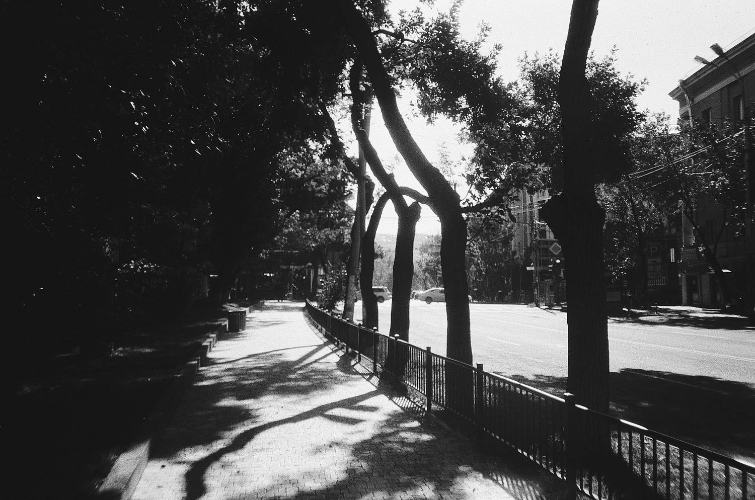 Photo #12228580