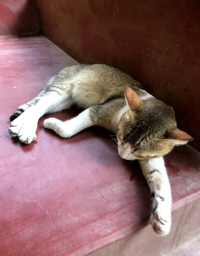 Photograph by Kaushik Dolui