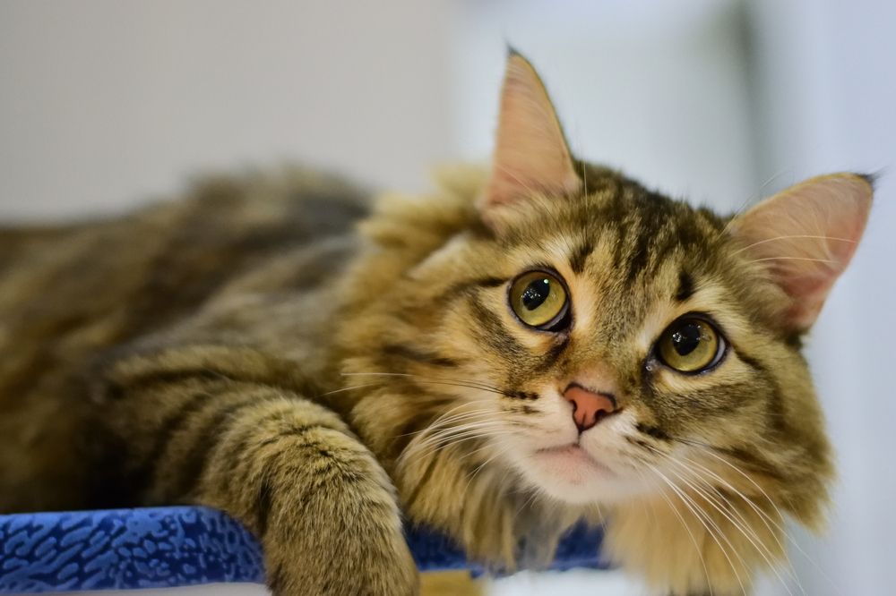 Photograph by Мария Сафронова