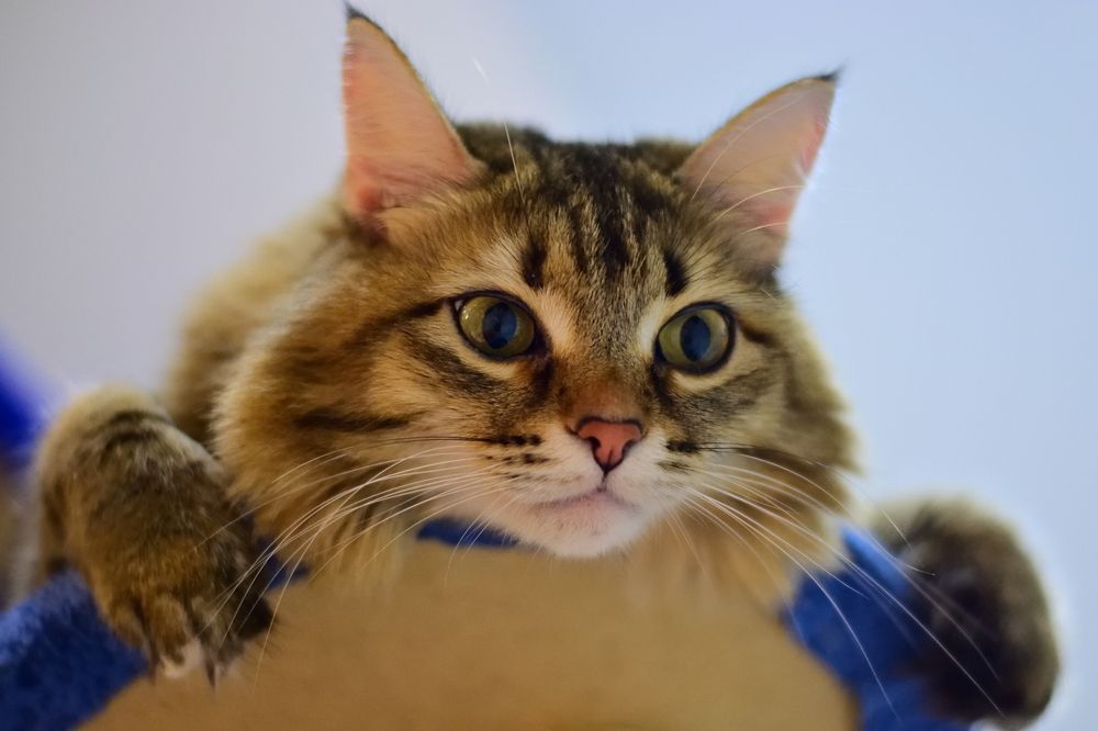 Photograph by Мария Сафронова