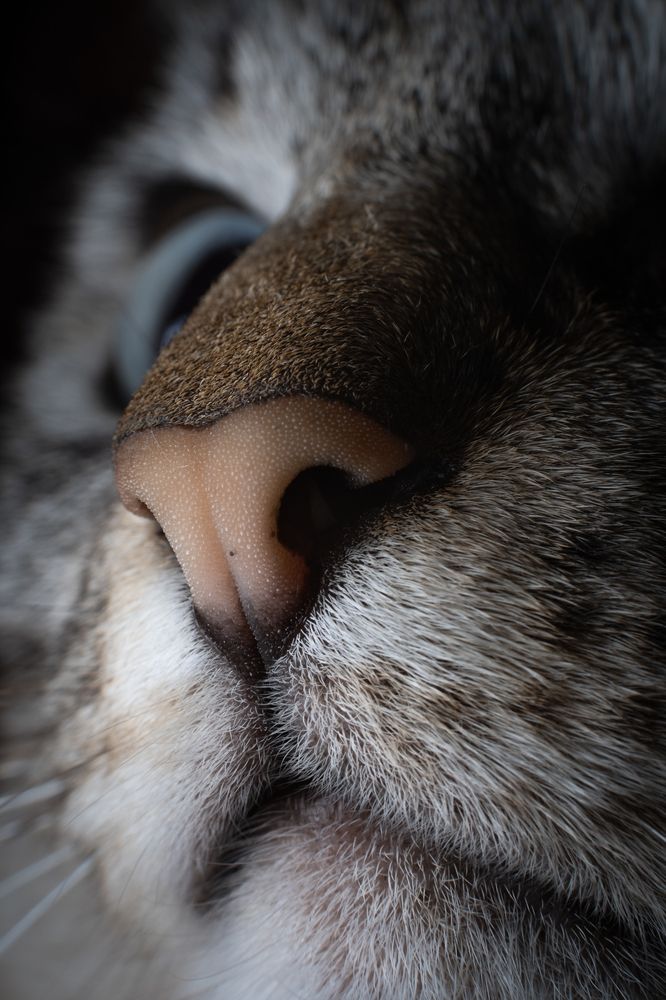 Photograph by ANDREA NIGRA