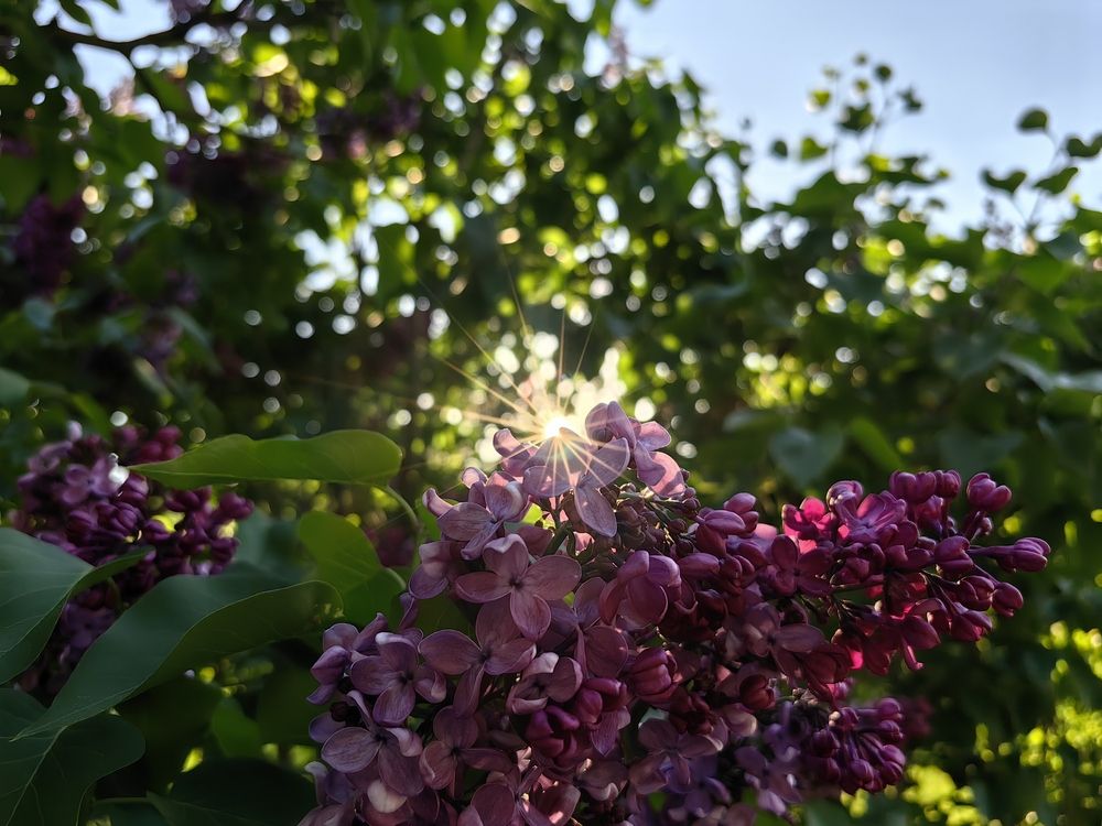 Photograph by Екатерина