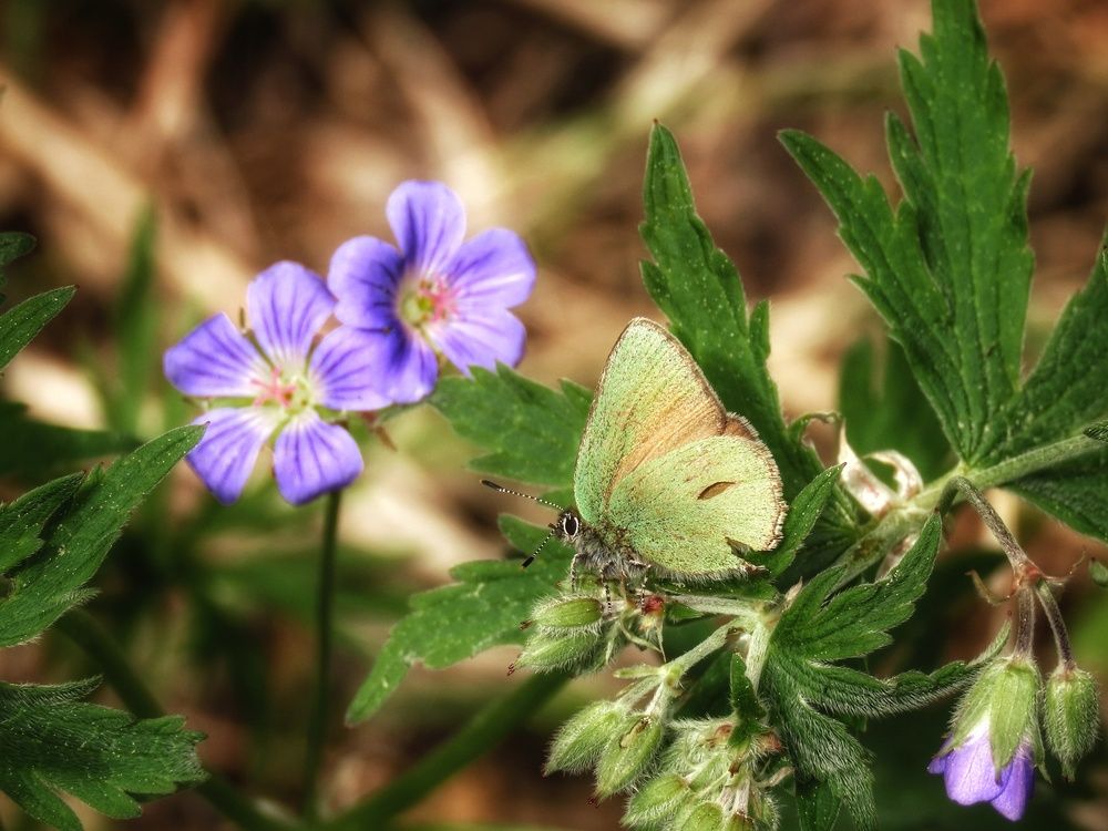 Photograph by Екатерина Солохина