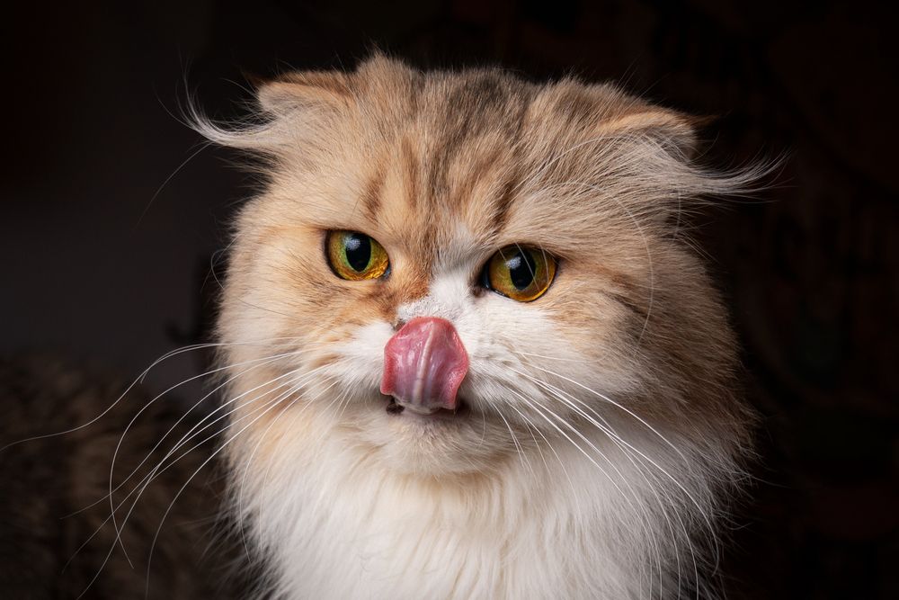 Photograph by Jean pierre