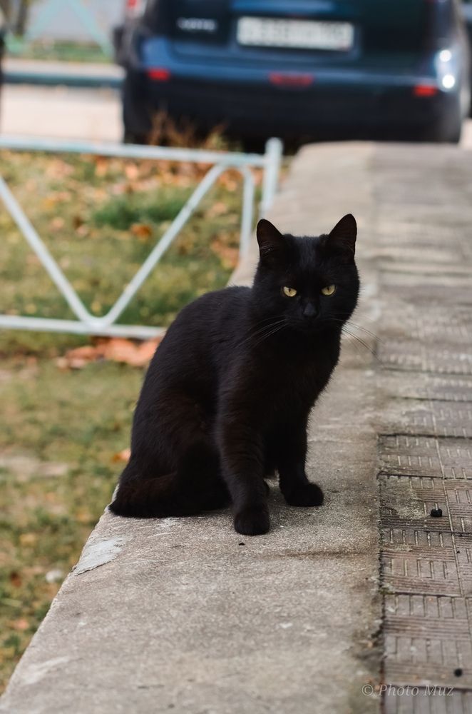 Photograph by Татьяна Жиркина