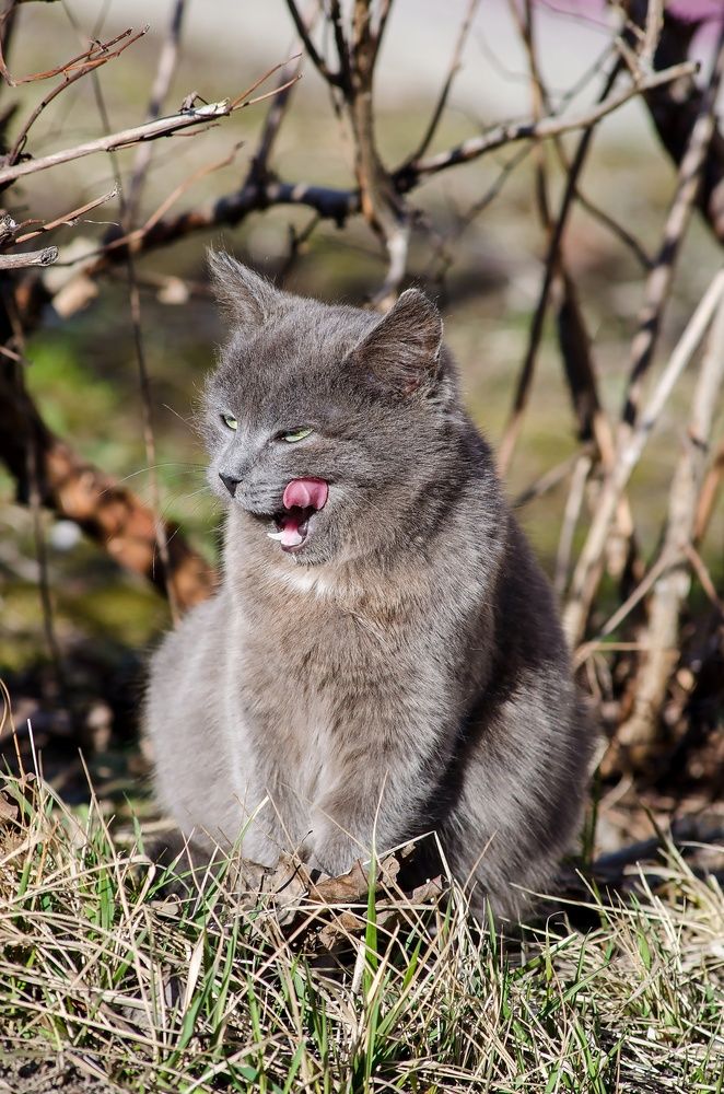 Photograph by Татьяна Жиркина